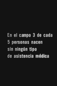 Los 505 Trailer