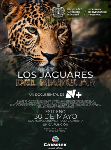 Los Jaguares del Manglar Trailer