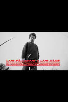 Los pájaros y los días Trailer