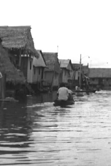 Los pirañas Trailer