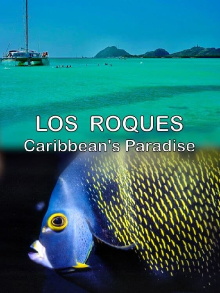 Los Roques, Caribbean's Paradise Trailer