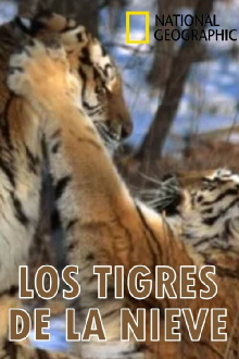 Los tigres de la nieve Trailer