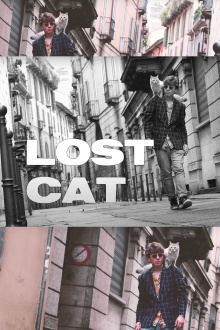 Lost Cat Trailer