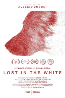 Lost in the White Trailer