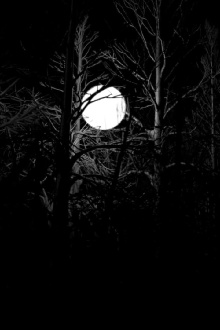 Lost moon (Ghost World 3) Trailer