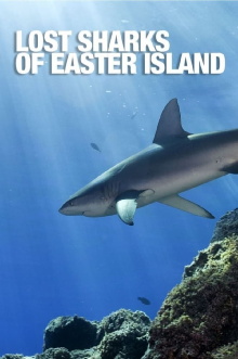 Lost Sharks of Easter Island Trailer