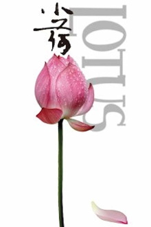 Lotus Trailer