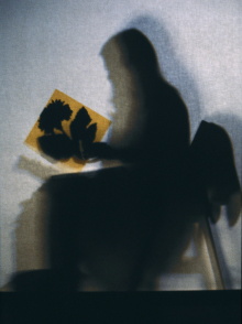 Lourdes Castro Shadows Trailer