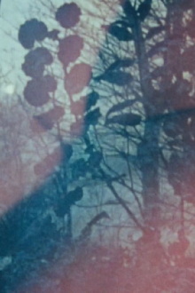Lovetape Film Trailer