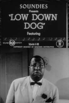 Low Down Dog Trailer