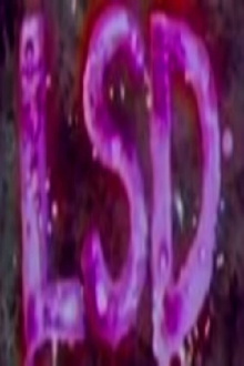 LSD Trailer