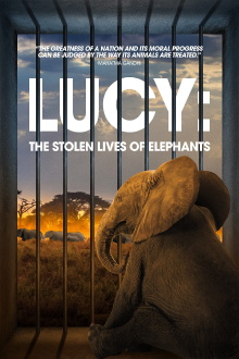 Lucy: The Stolen Lives of Elephants Trailer