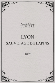 Lyon : sauvetage de lapins Trailer