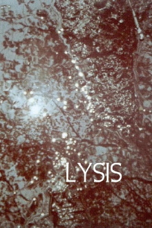 Lysis Trailer