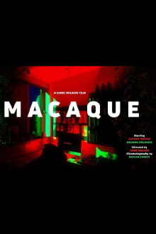 Macaque Trailer