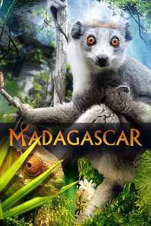 Madagascar 3D Trailer