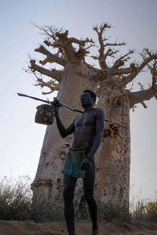 Madagascar: Guardians of the Forest Trailer