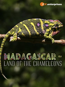 Madagascar: Land of the Chameleons Trailer