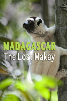Madagascar: The Lost Makay Trailer
