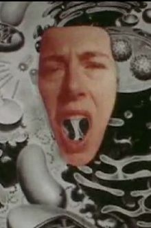 Magazine Mouth Trailer