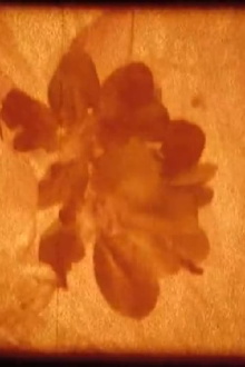 Magma Trailer