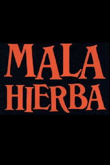 Mala Hierba Trailer