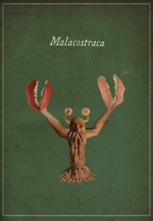 Malacostraca Trailer