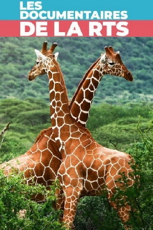 Maman girafe Trailer
