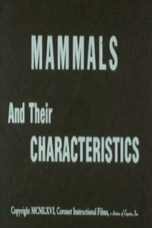 Mammals and Their Characteristics Trailer