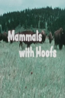 Mammals With Hoofs Trailer