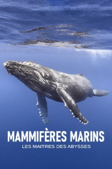 Mammifères marins, les maîtres des abysses Trailer