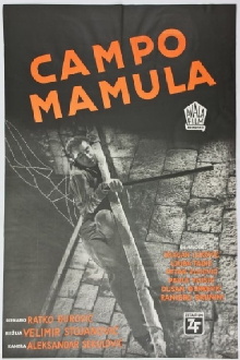 Mamula Camp Trailer