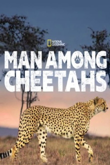 Man Among Cheetahs Trailer