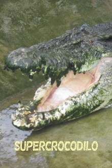 Man-Eating Super Croc Trailer