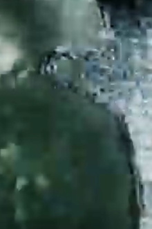 Man Trailer