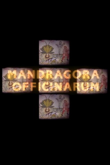 Mandragora officinarum Trailer