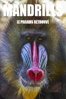 Mandrills : le paradis retrouvé Trailer