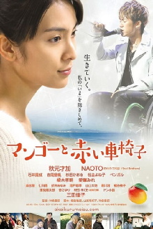 Mango and the Red Wheelchair Trailer