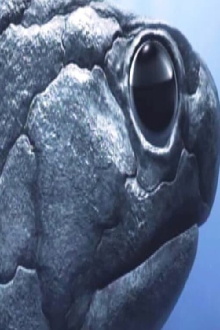 Mankind Rising - Where do Humans Come From Trailer