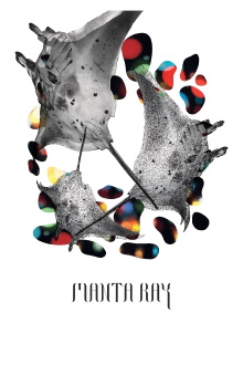 Manta Ray Trailer
