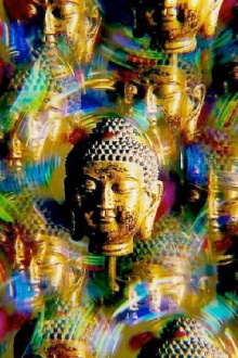 Many Buddhas Trailer