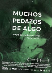 Many Pieces of Something Trailer