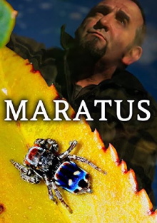 Maratus Trailer