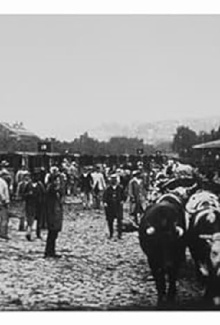 Marché aux boeufs, I Trailer
