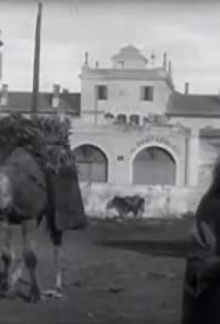 Marché aux charbons (avec chameaux) Trailer