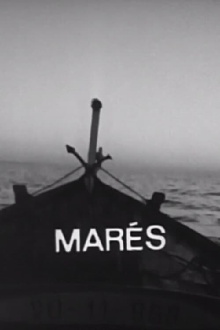 Marés Trailer