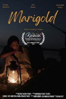 Marigold Trailer