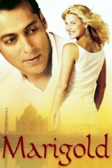 Marigold Trailer