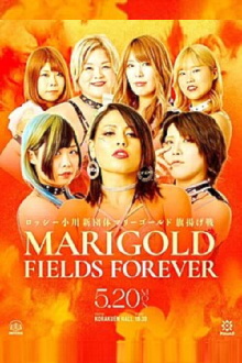 Marigold Fields Forever Trailer
