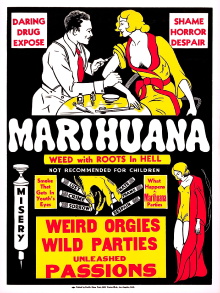 Marihuana Trailer